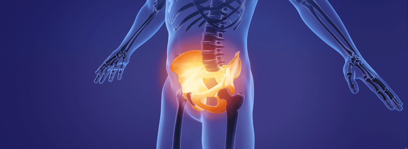 691c8f00293c7ea6589d36d8 pelvic floor muscles 3 3
