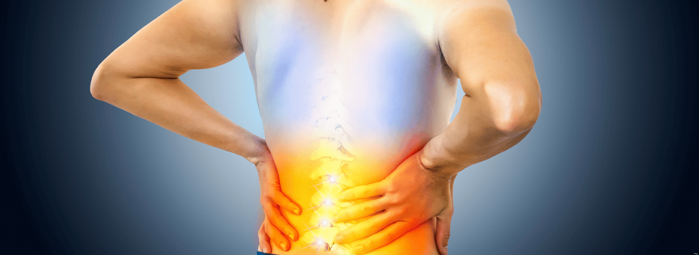 697b297683f9530944b9dfb6 67a3953b1fe0ec27b9eabea6 Understanding20the20Sciatic20Nerve 3